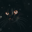 ​ Чёрная кошка – Ночь