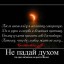 Огонек свечи метался...