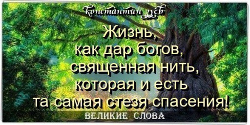 афоризмы уходят в весну...