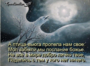 февральская метель афоризмов...
