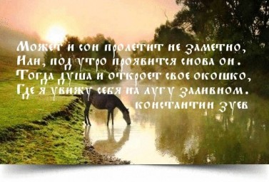 Наши странные сны...