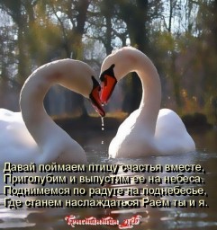 Пойми, надо быть выше этого...