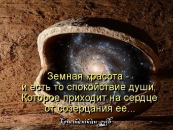 Вечный коллапс...
