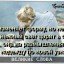 сбегающие мысли...