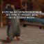 Легкое напутствие... шансон