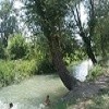 Утопленник