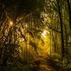Сынок, главное - не бояться!