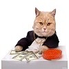Про Кота