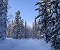 Пурга
