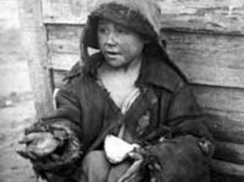 Докатились