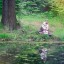 Алёнушка