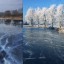 Живая гравюра