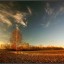 Поздней осени палевый цвет