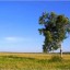 Сослагая
