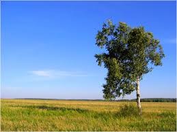 Сослагая