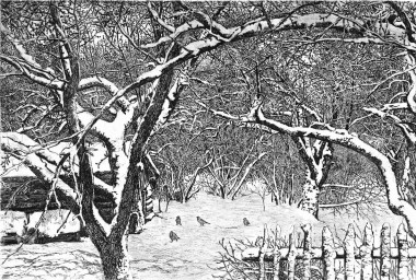 Тоскливое