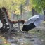 Осенний дождь смывает краски лета