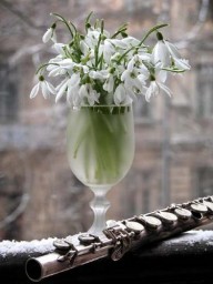 Первенец Весны