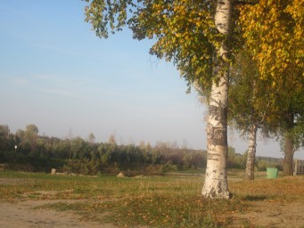Осенняя пора