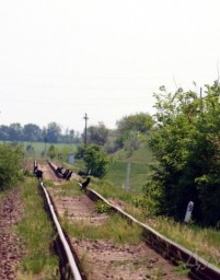 Нелёгкий путь
