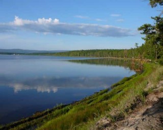 ---Улетают журавли---