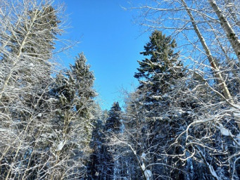 Очень скоро будет март...