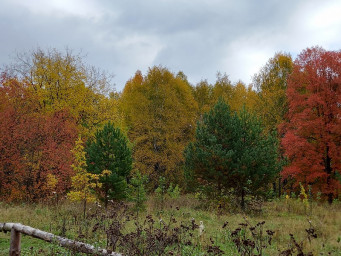 Пишет осень свои картины