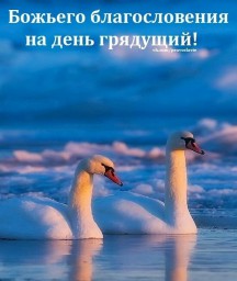 Пускай два сердца... от 19. 02. 2019