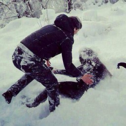 Ценность дружбы