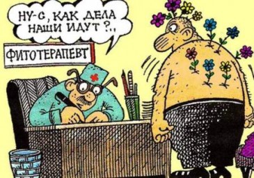 Народная целительница