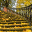 Осенняя лестница