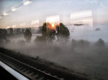 Не приручаю