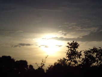 Якубовская Ольга