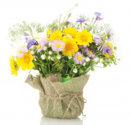 ​Вам нужен счастливый билетик?