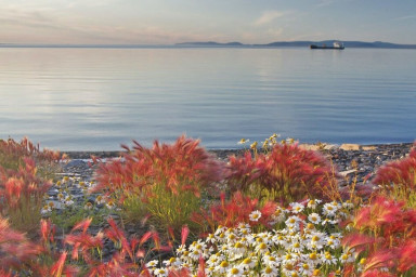 Билет к Морю Лаптевых