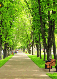 В поисках счастья