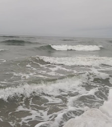 Балтийское пробуждение