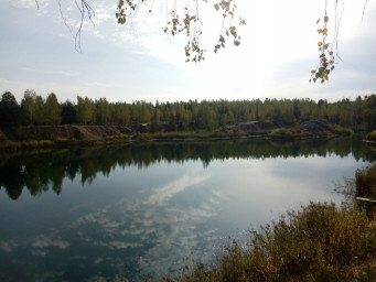 В березовой аллее