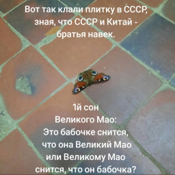 Русский с китайцем - братья навек!