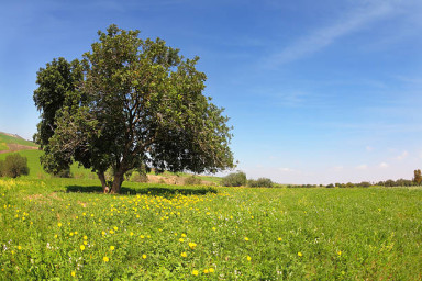 Философские басни Посохова