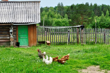 Басни Посохова про Ивана