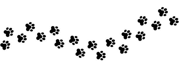 Александр Посохов "Невидимка" (басня)