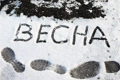 Не захотела...