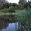 Луна по небу гуляла