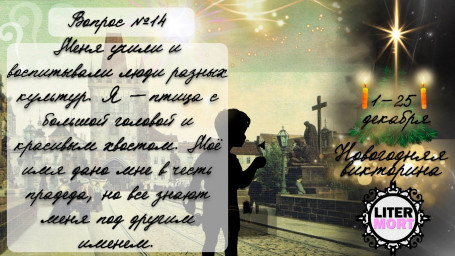 Новогодняя викторина ВОПРОС №14