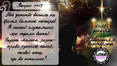 Новогодняя викторина ВОПРОС №15