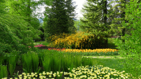 Скиталец любви